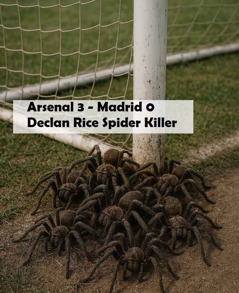 Arsenal Real de madrid spider killer